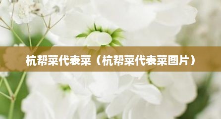 杭帮菜代表菜（杭帮菜代表菜图片）