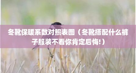 冬靴保暖系数对照表图（冬靴搭配什么裤子服装不看你肯定后悔!）