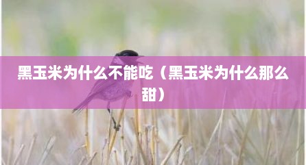 黑玉米为什么不能吃（黑玉米为什么那么甜）