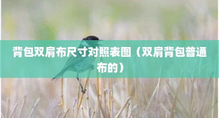 背包双肩布尺寸对照表图（双肩背包普通布的）