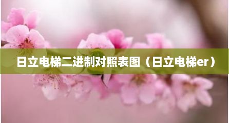 日立电梯二进制对照表图（日立电梯er）