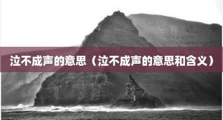 泣不成声的意思（泣不成声的意思和含义）