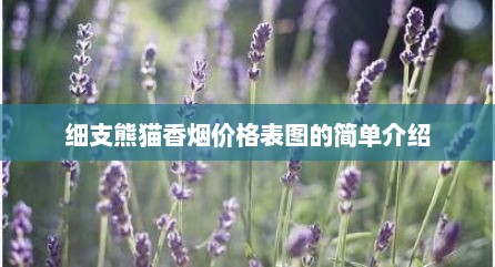 细支熊猫香烟价格表图的简单介绍