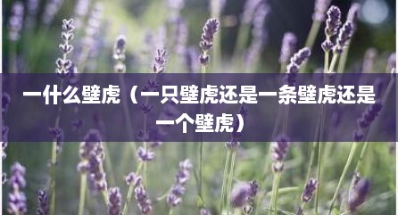 一什么壁虎（一只壁虎还是一条壁虎还是一个壁虎）