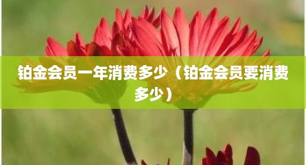 铂金会员一年消费多少（铂金会员要消费多少）