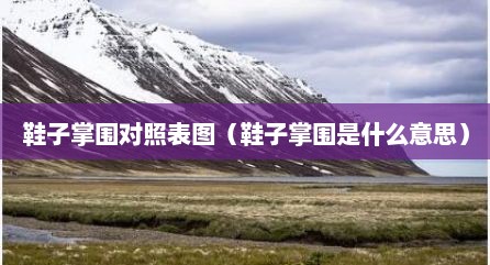 鞋子掌围对照表图（鞋子掌围是什么意思）