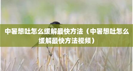 中暑想吐怎么缓解最快方法（中暑想吐怎么缓解最快方法视频）
