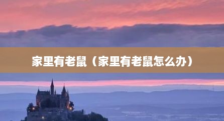 家里有老鼠（家里有老鼠怎么办）
