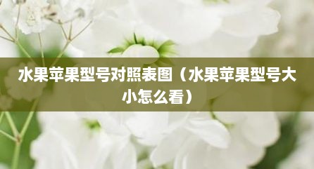 水果苹果型号对照表图（水果苹果型号大小怎么看）