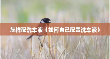 怎样配洗车液（如何自己配置洗车液）