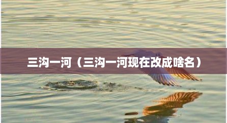 三沟一河（三沟一河现在改成啥名）