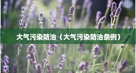 大气污染防治（大气污染防治条例）