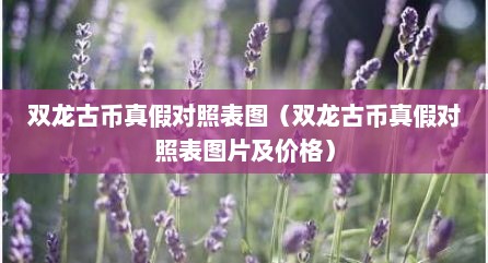 双龙古币真假对照表图（双龙古币真假对照表图片及价格）