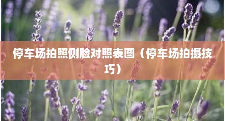 停车场拍照侧脸对照表图（停车场拍摄技巧）