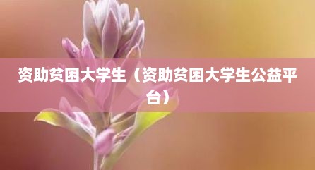 资助贫困大学生（资助贫困大学生公益平台）