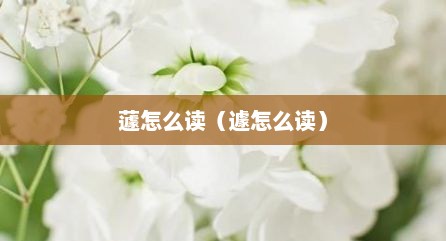 蘧怎么读（遽怎么读）