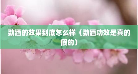 劲酒的效果到底怎么样（劲酒功效是真的假的）