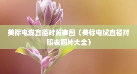 美标电缆直径对照表图（美标电缆直径对照表图片大全）