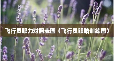 飞行员眼力对照表图（飞行员眼睛训练图）