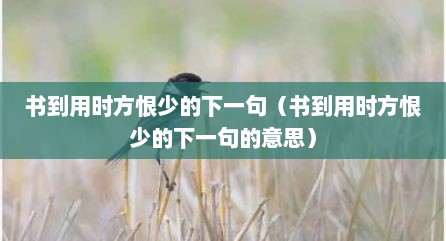 书到用时方恨少的下一句（书到用时方恨少的下一句的意思）