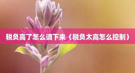 税负高了怎么调下来（税负太高怎么控制）