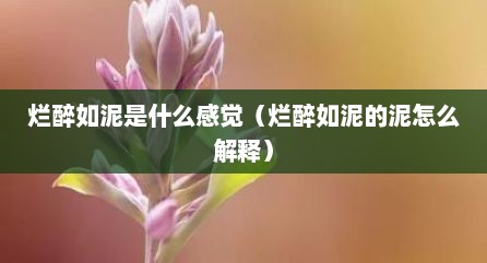烂醉如泥是什么感觉（烂醉如泥的泥怎么解释）