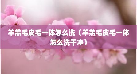 羊羔毛皮毛一体怎么洗（羊羔毛皮毛一体怎么洗干净）