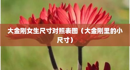 大金刚女生尺寸对照表图（大金刚里的小尺寸）