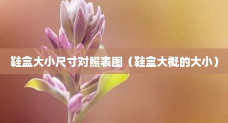 鞋盒大小尺寸对照表图（鞋盒大概的大小）
