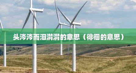 头涔涔而泪潸潸的意思（徘徊的意思）