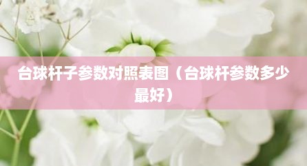 台球杆子参数对照表图（台球杆参数多少最好）