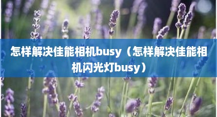 怎样解决佳能相机busy（怎样解决佳能相机闪光灯busy）