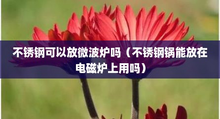 不锈钢可以放微波炉吗（不锈钢锅能放在电磁炉上用吗）