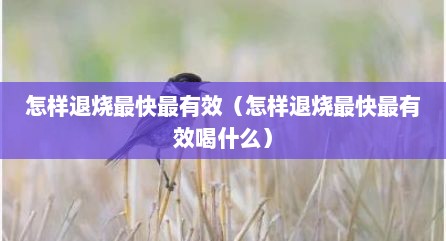 怎样退烧最快最有效（怎样退烧最快最有效喝什么）