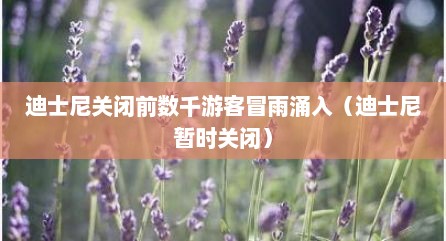 迪士尼关闭前数千游客冒雨涌入（迪士尼暂时关闭）