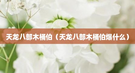 天龙八部木桶伯（天龙八部木桶伯爆什么）