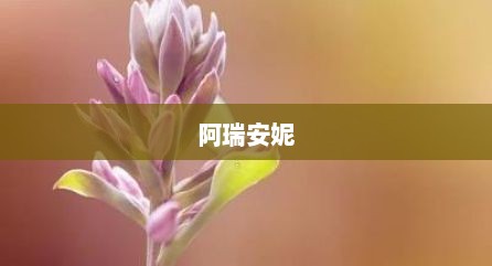 阿瑞安妮