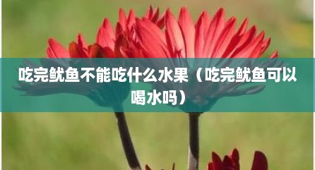吃完鱿鱼不能吃什么水果（吃完鱿鱼可以喝水吗）