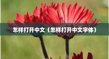 怎样打开中文（怎样打开中文字体）