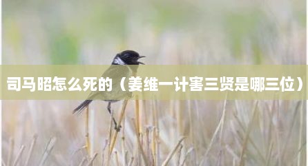 司马昭怎么死的（姜维一计害三贤是哪三位）