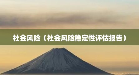 社会风险（社会风险稳定性评估报告）