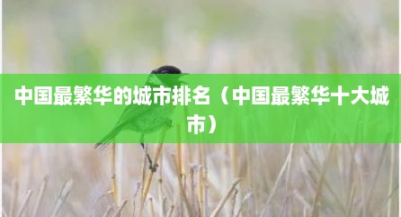中国最繁华的城市排名（中国最繁华十大城市）