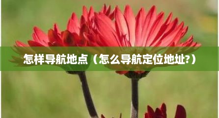 怎样导航地点（怎么导航定位地址?）