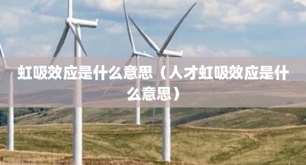 虹吸效应是什么意思（人才虹吸效应是什么意思）