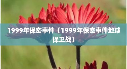 1999年保密事件（1999年保密事件地球保卫战）