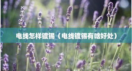 电线怎样镀锡（电线镀锡有啥好处）
