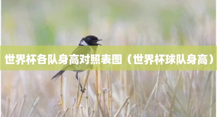 世界杯各队身高对照表图（世界杯球队身高）