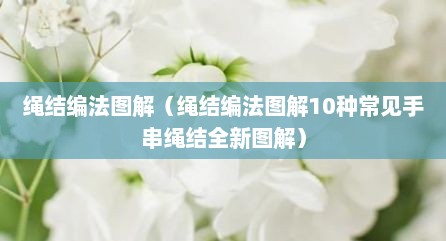 绳结编法图解（绳结编法图解10种常见手串绳结全新图解）