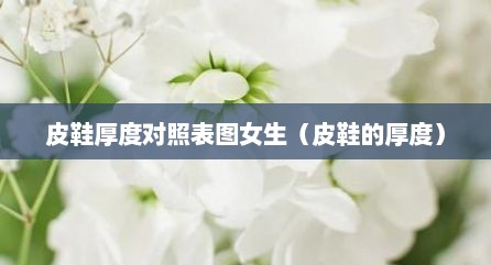 皮鞋厚度对照表图女生（皮鞋的厚度）