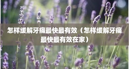 怎样缓解牙痛最快最有效（怎样缓解牙痛最快最有效在家）